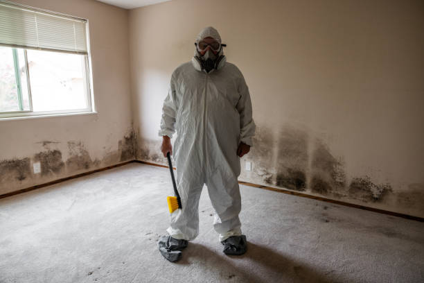 Best Mold Testing and Inspection Services in Lifornia City, CA